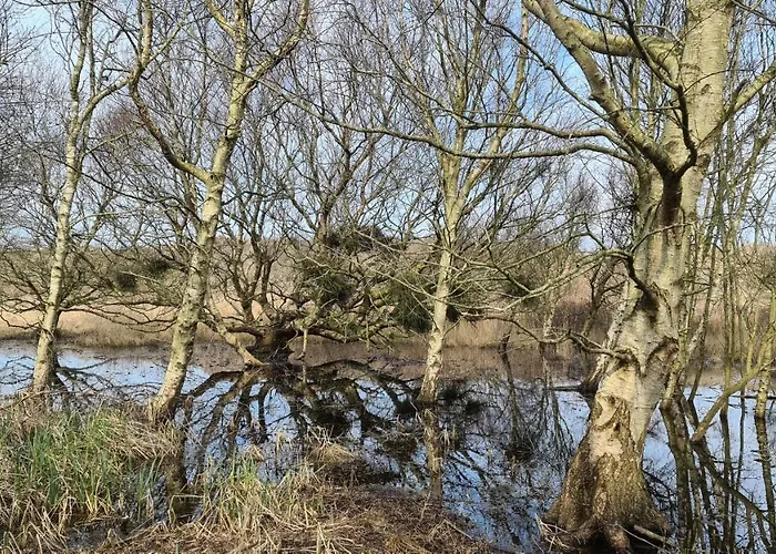 Nordstrand Whg 1 Apartament *